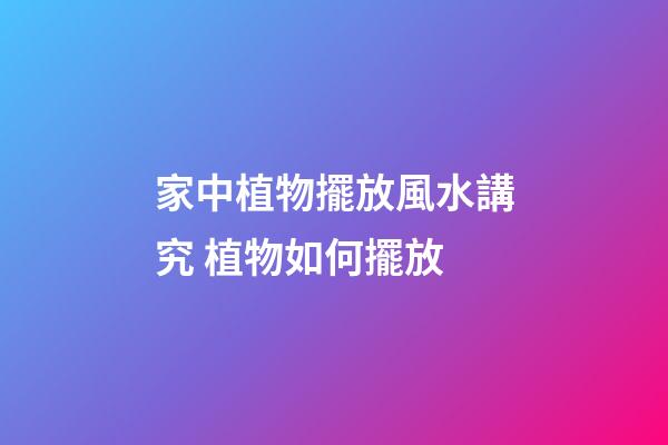 家中植物擺放風水講究 植物如何擺放